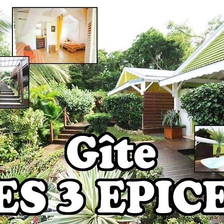 Les 3 Epices Lejlighed Le Gosier  Eksteriør billede