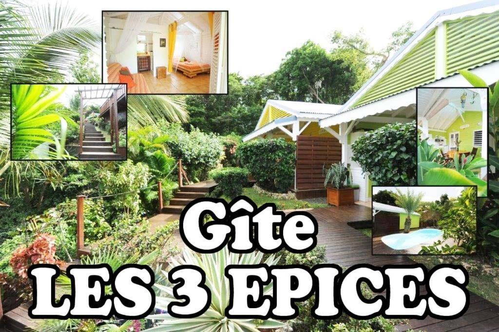 Les 3 Epices Lejlighed Le Gosier  Eksteriør billede